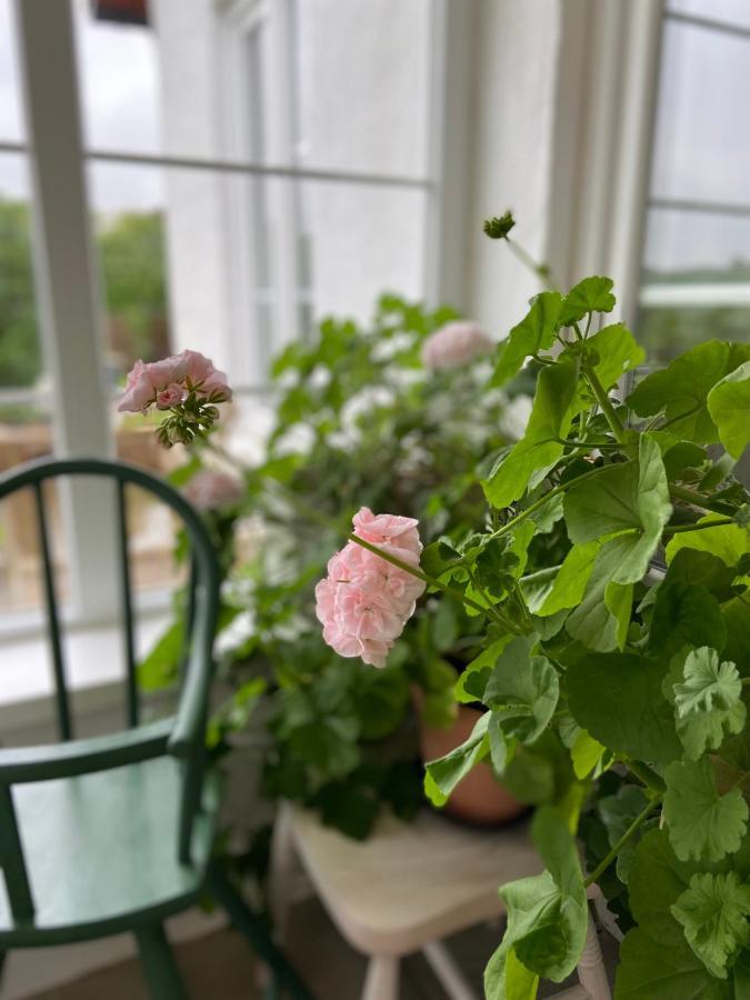 Blomstertantens Hus Треллеборг Экстерьер фото