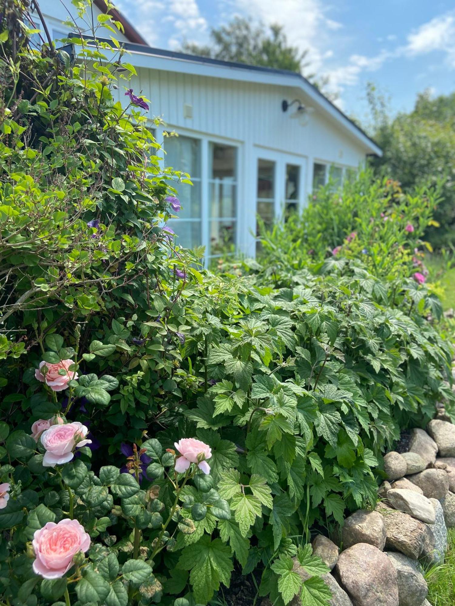 Blomstertantens Hus Треллеборг Экстерьер фото