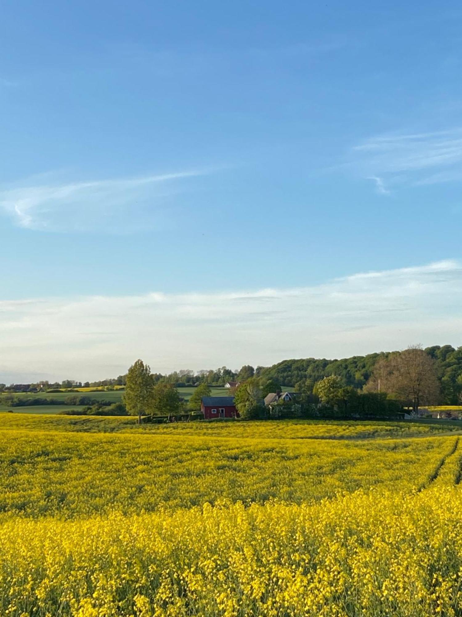 Blomstertantens Hus Треллеборг Экстерьер фото