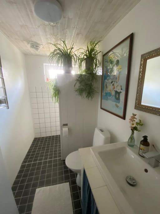 Blomstertantens Hus Треллеборг Экстерьер фото